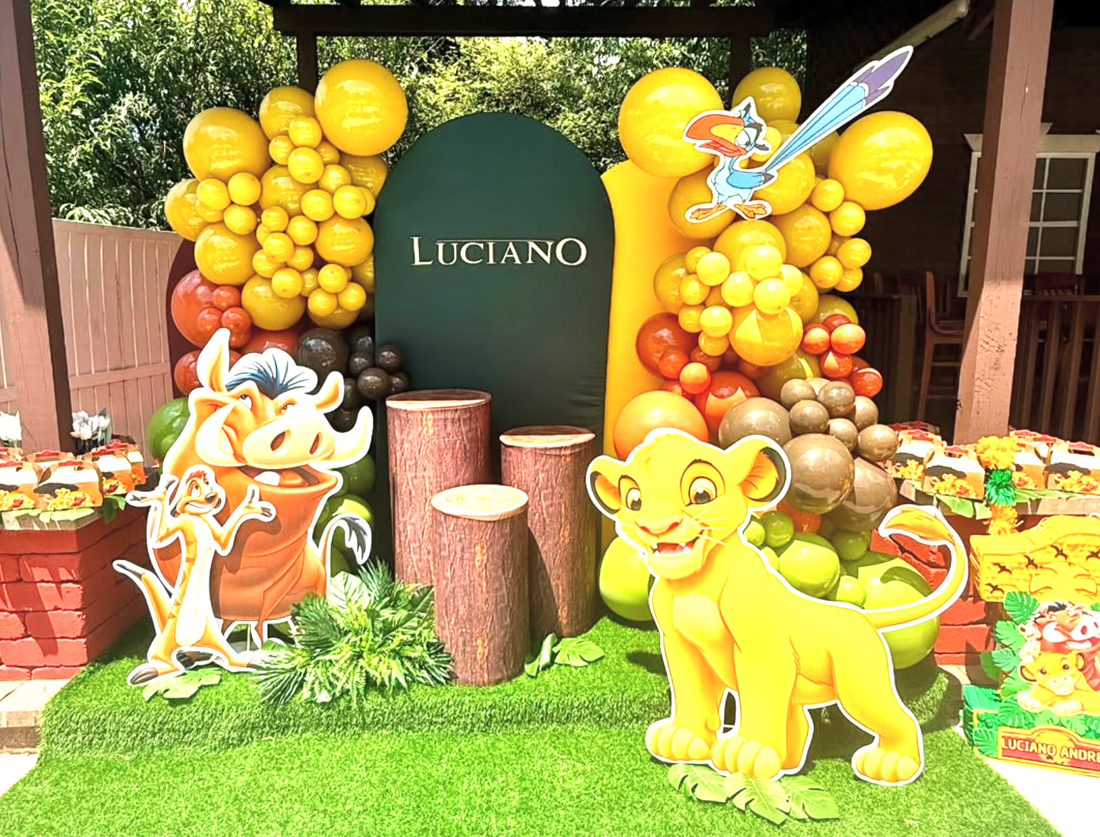 Themed Party Setup - Fully Customized Celebration